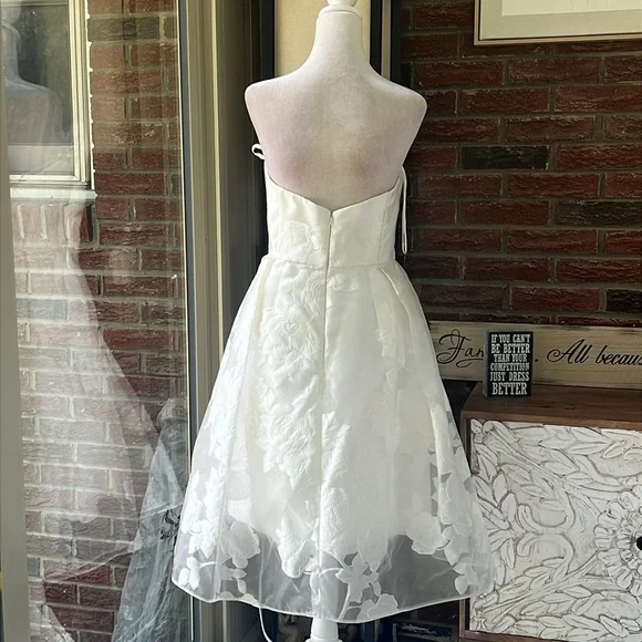 amsale rose fil coupe fit-&-flare dress Rosalind main image 0